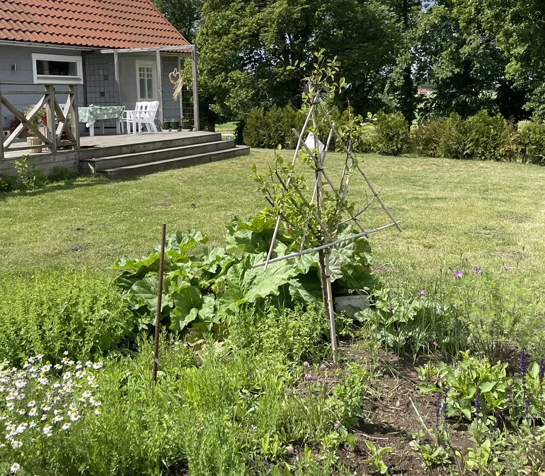 Trädgården och gårdsbyggnaden på Naturnära Kärråkra